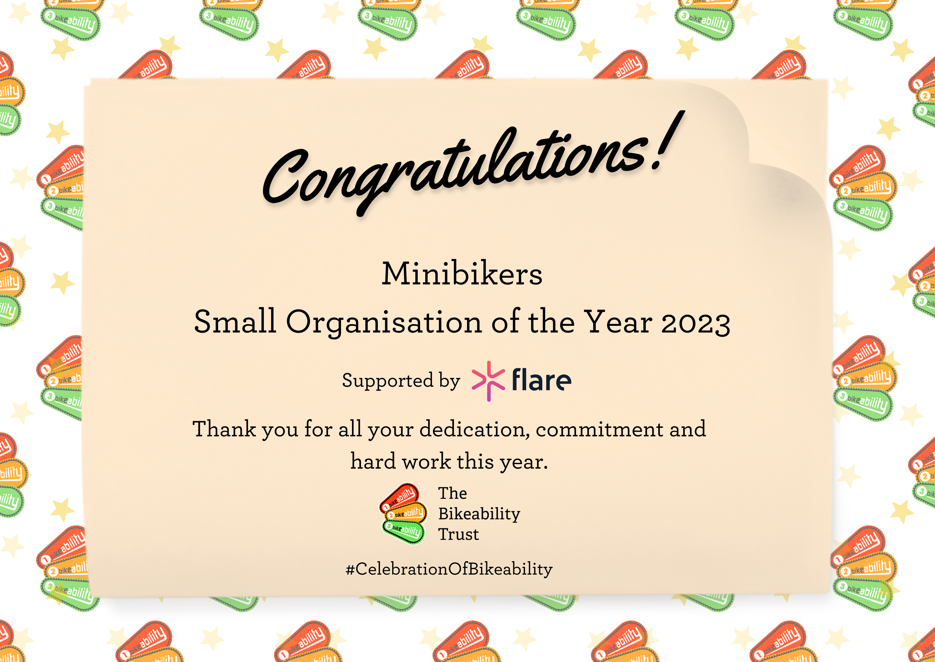 Bikeability organisation of the year